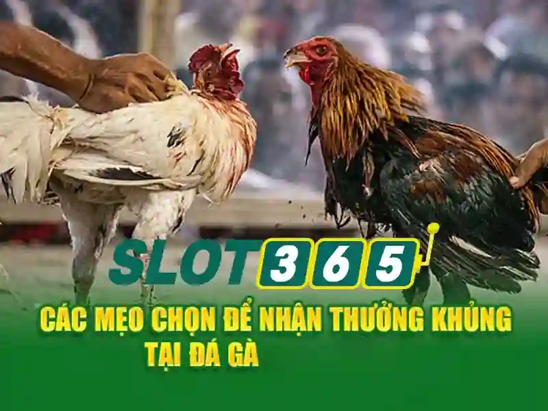 Mẹo chơi bắn cá 3 cây dễ ăn tiền nhà cái