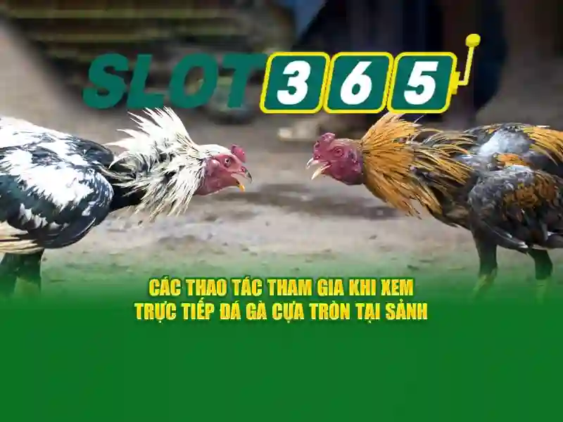 Tính năng nổi bật của Slot365\n\n