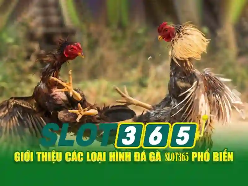 Các tính năng nổi bật\n\n