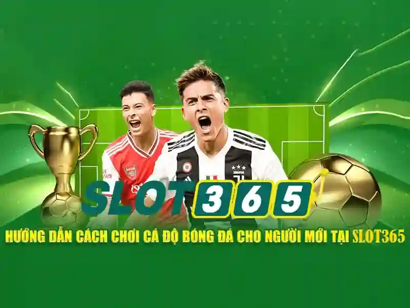 Slot365 apk – Tổng quan chủ đề và giá trị cốt lõi