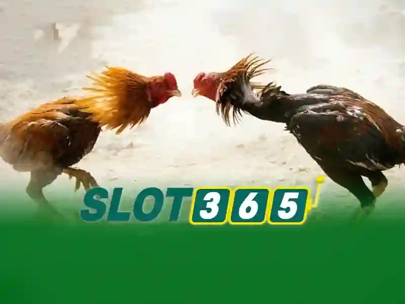 slot365-lien-he-2
