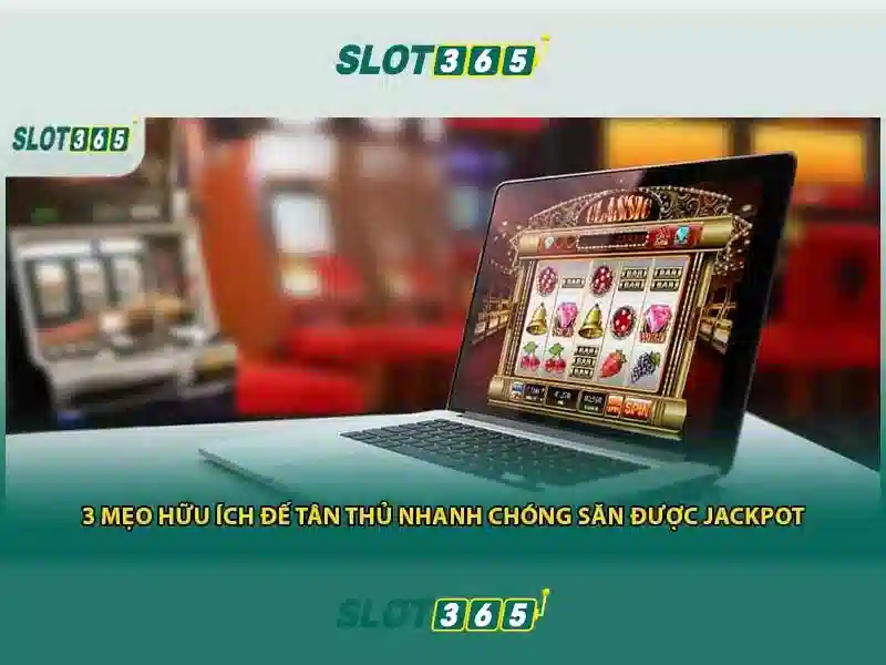 Slot365 là gì?