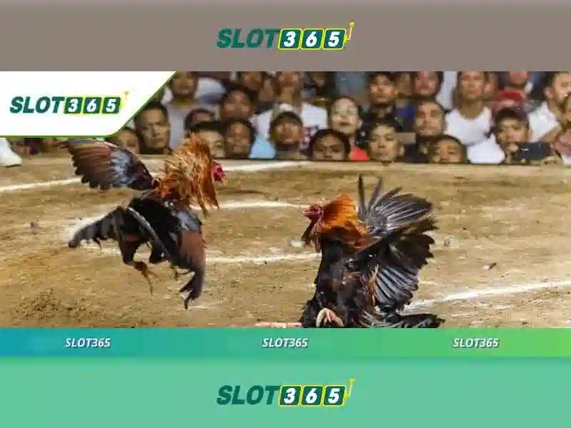 Slot365 là nền tảng chơi slot trực tuyến hiện đại Slot365 là nền tảng chơi slot trực tuyến hiện đại