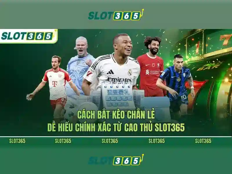 Trải nghiệm người chơi và hỗ trợ khách hàng