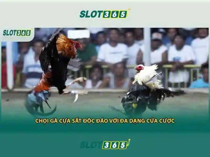 Sản phẩm và dịch vụ trọng tâm: ứng dụng thực tế của slot365 net