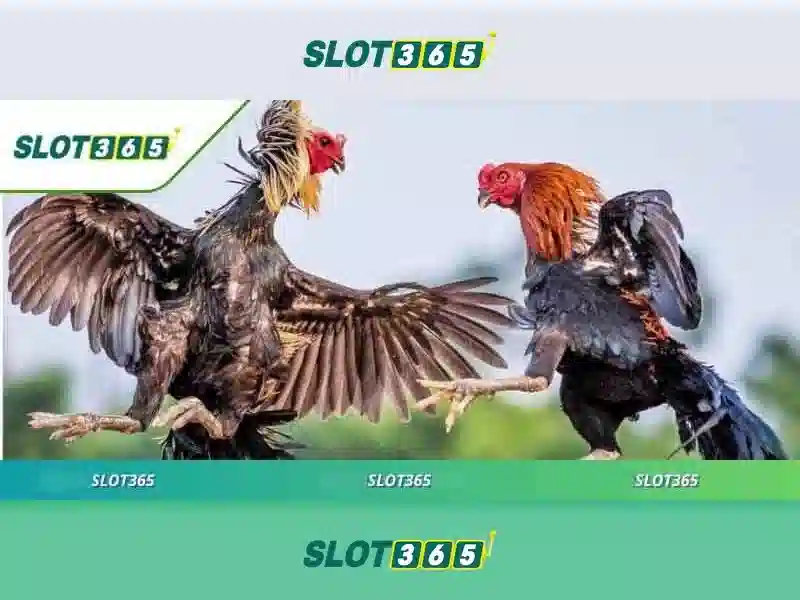 Mẹo chơi bắn cá 3 cây dễ ăn tiền nhà cái