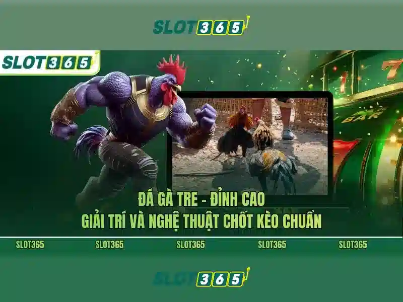slot365 rtp – Tổng quan chủ đề và giá trị cốt lõi