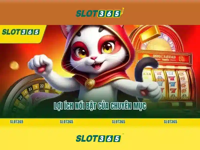 Slot365 là gì?