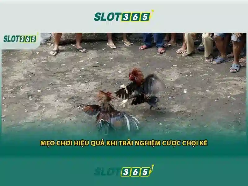 Nguồn gốc từ khóa và sứ mệnh