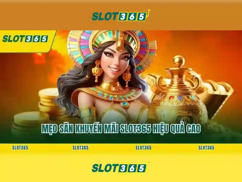 Slot365 là gì?