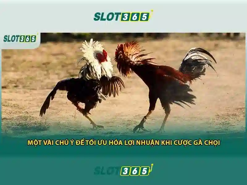 Slot365 là nền tảng trò chơi đánh bạc trực tuyến phổ biến tại nhiều quốc gia