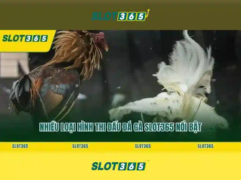 Slot365: Khám phá nền tảng slot trực tuyến tiên tiến