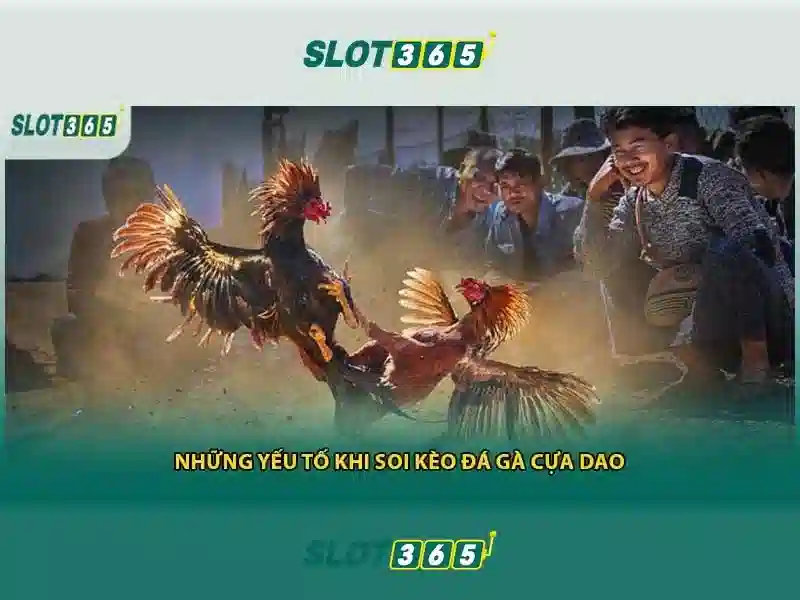 đánh giá Slot365 – chủ đề tổng quan và giá trị cốt lõi đánh giá Slot365 – chủ đề tổng quan và giá trị cốt lõi