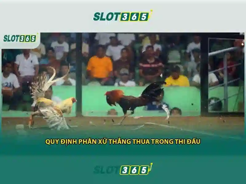 rút thưởng Slot365 – Tổng quan và giá trị cốt lõi