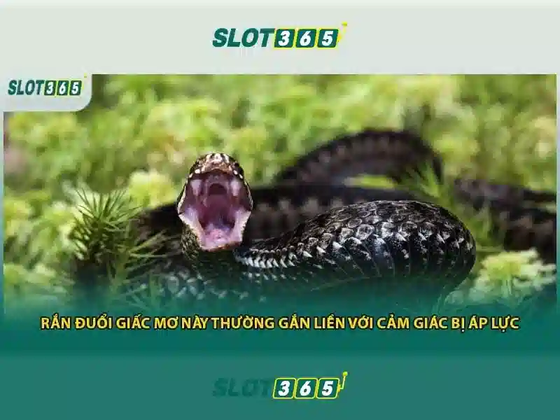 Slot365 an toàn không – Đánh giá và trải nghiệm