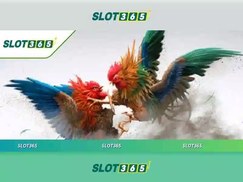 Slot365 - Giới thiệu tổng quan