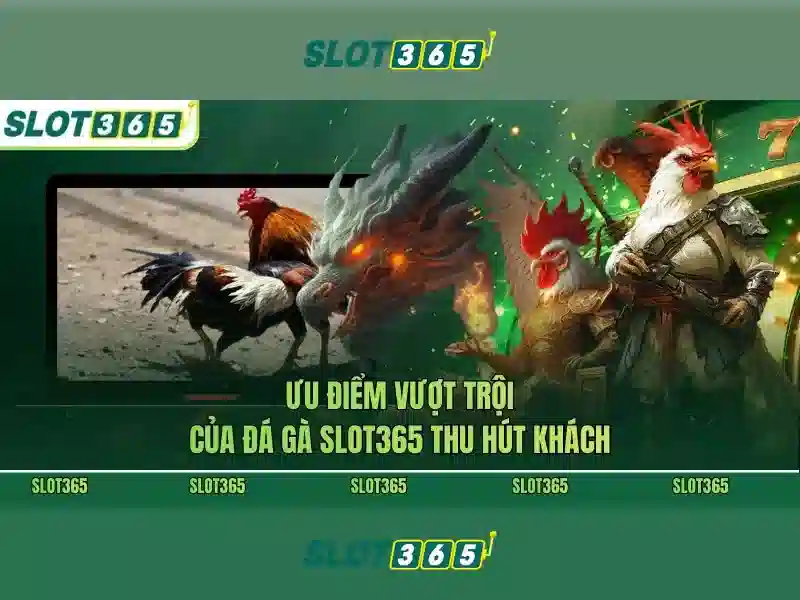Slot365 - Tổng quan về nền tảng chơi slots trực tuyến