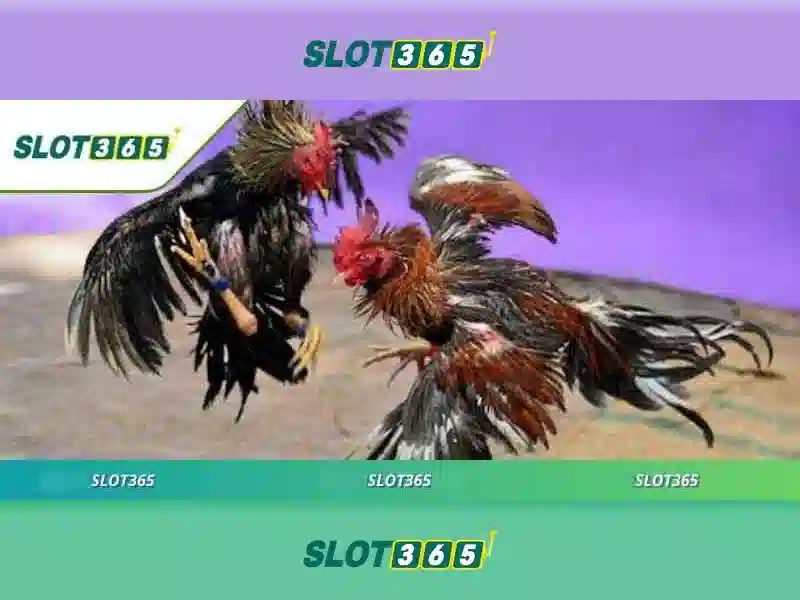 Slot365: Khám phá nền tảng slot trực tuyến đỉnh cao
