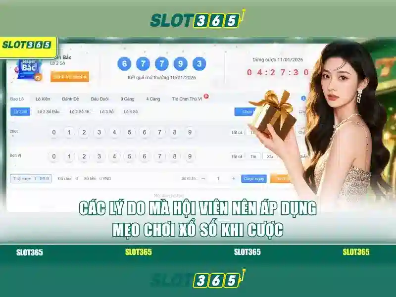 Slot365: Trải nghiệm chơi slot trực tuyến an toàn và thú vị