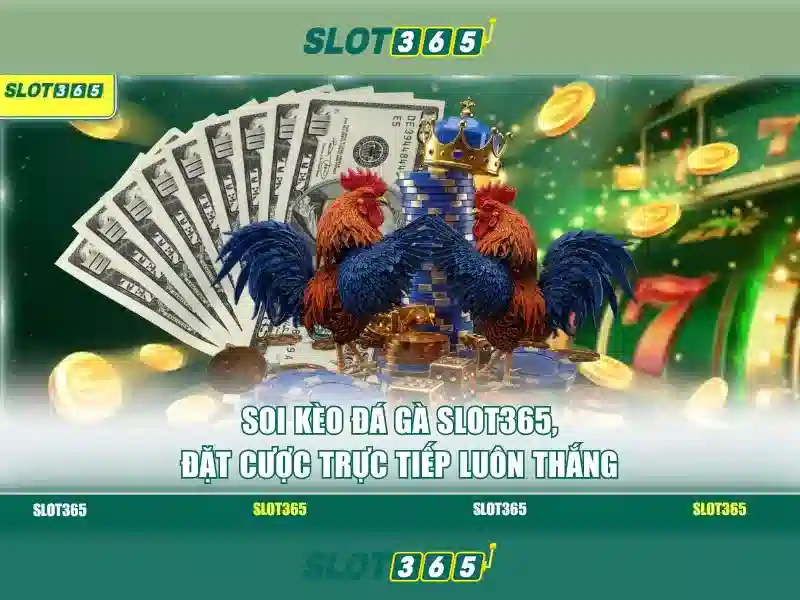 Slot365 là gì? Tổng quan về nền tảng slot trực tuyến