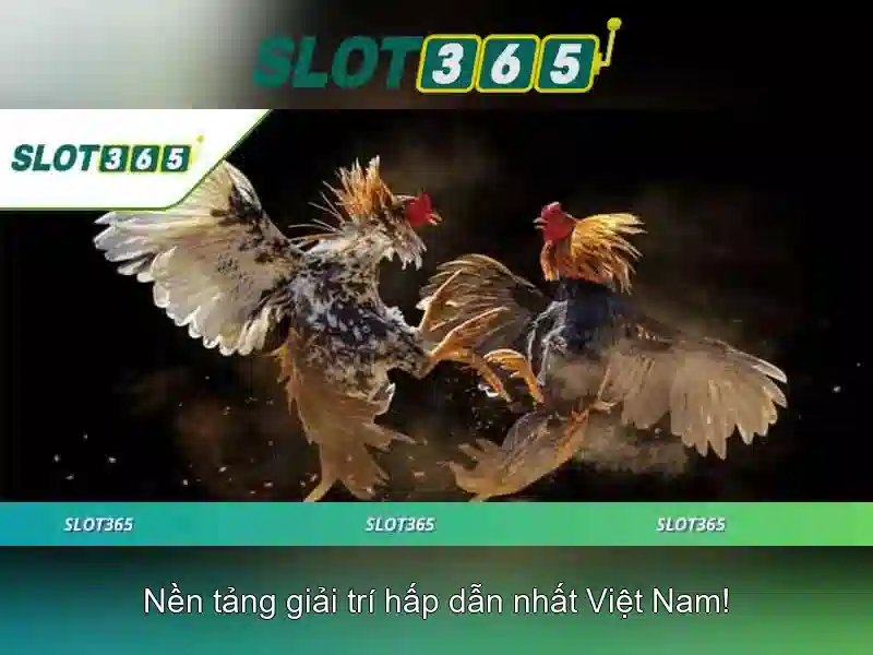 Các trò chơi và công nghệ của Slot365\n\n