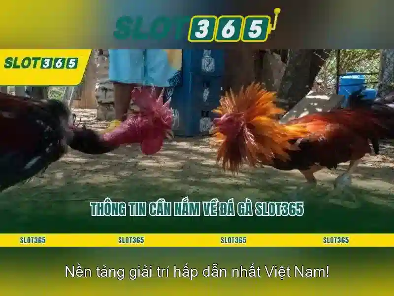 Slot365 – Nền tảng quay số trực tuyến nổi bật