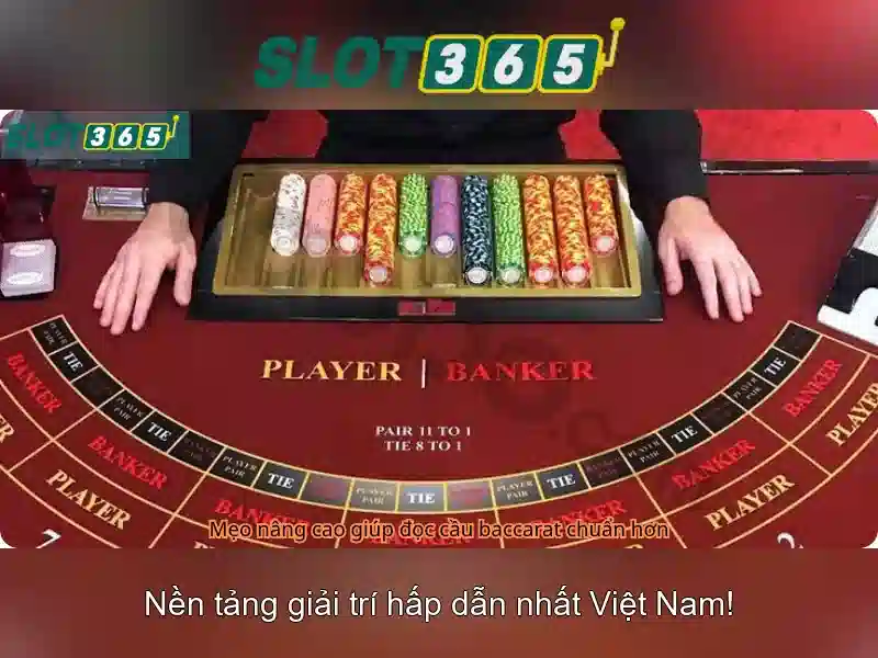 Hỗ trợ và an toàn khi tham gia Slot365