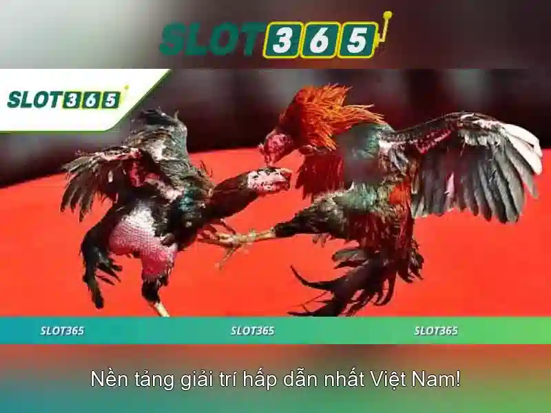 Mẹo chơi bắn cá 3 cây dễ ăn tiền nhà cái