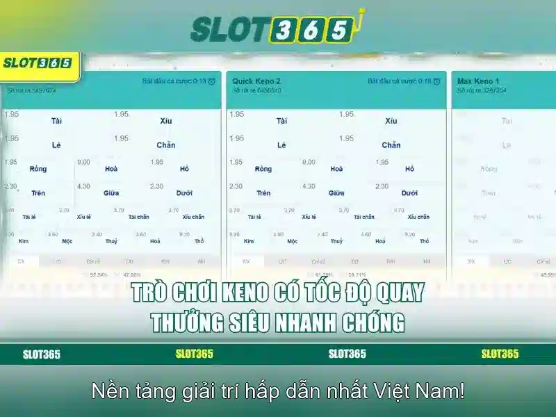 Giao diện người dùng và trải nghiệm di động