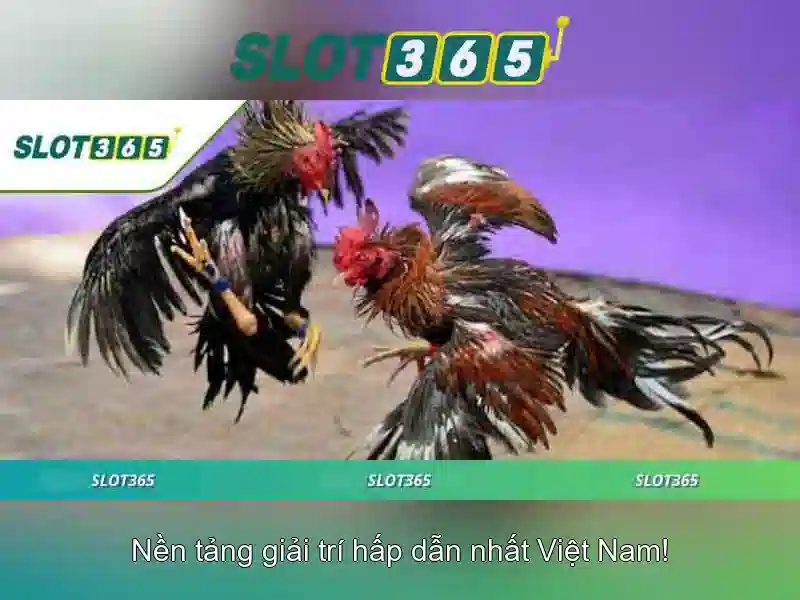 Công nghệ và giao diện trên Slot365