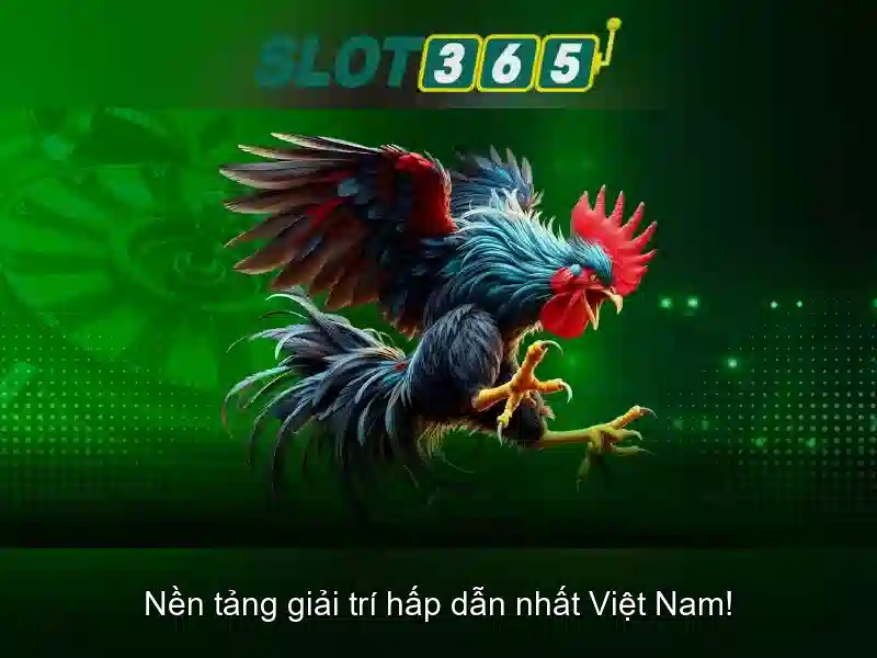 Slot365 - Đánh giá nền tảng casino trực tuyến