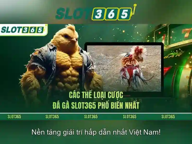 Tiện ích và khuyến mãi hấp dẫn Tiện ích và khuyến mãi hấp dẫn