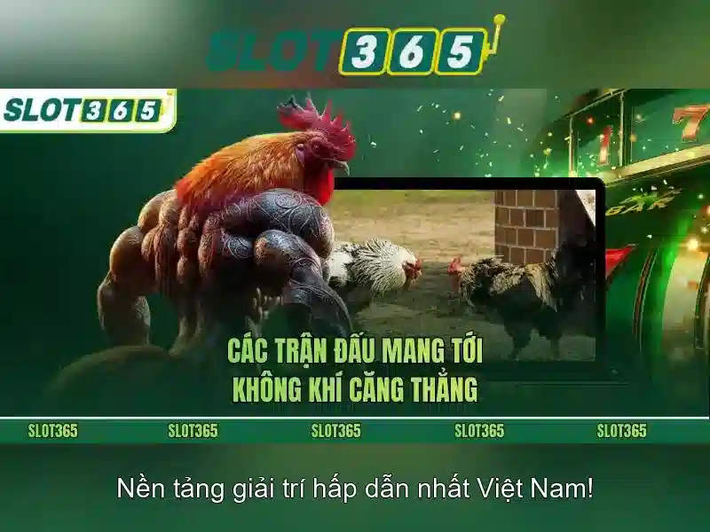 Tính năng và trò chơi
