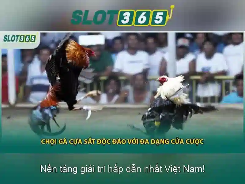 Slot365: Trải nghiệm casino trực tuyến hàng đầu