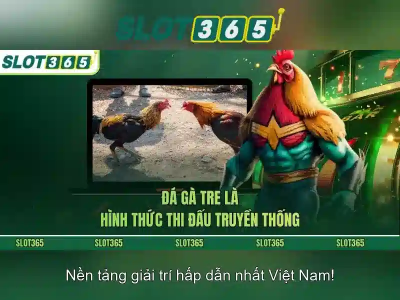 Slot365: Nền tảng chơi slots trực tuyến