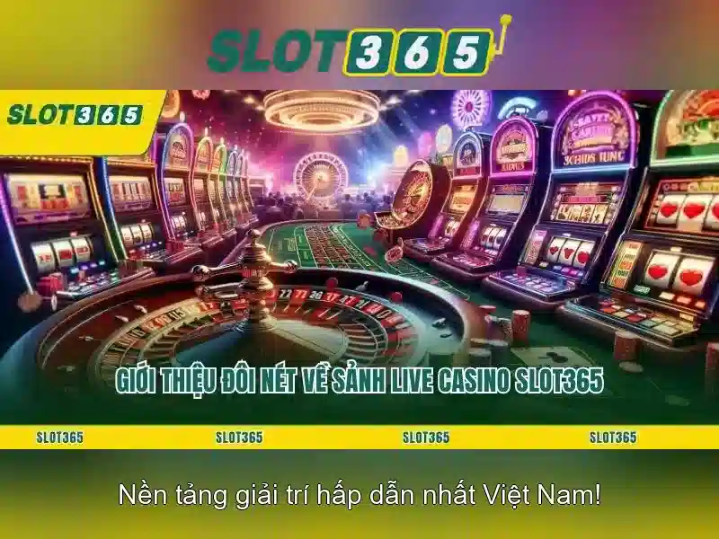 Trải nghiệm người dùng