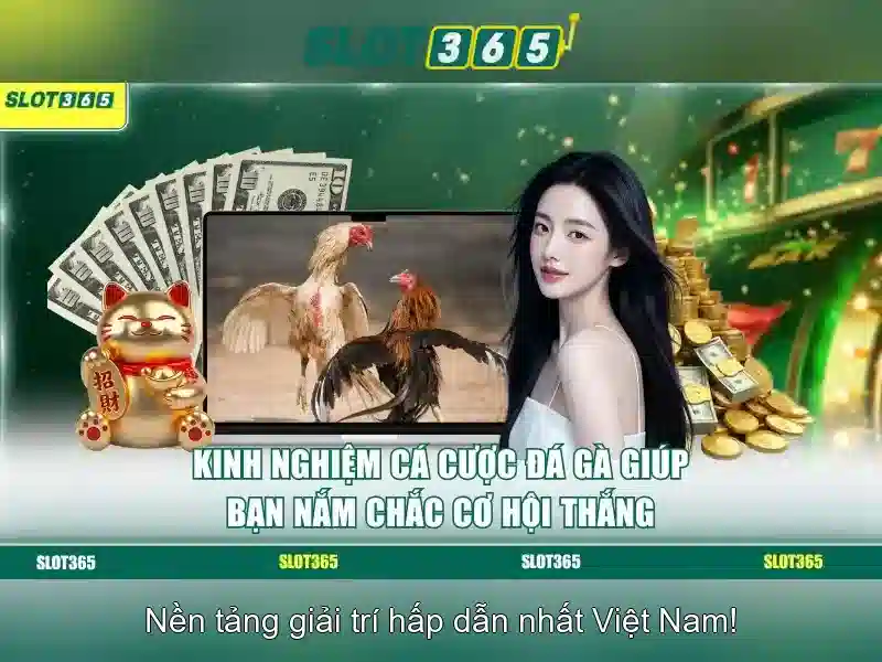 Giao diện người dùng và trải nghiệm di động Giao diện người dùng và trải nghiệm di động