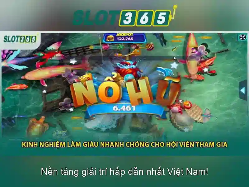 Trải nghiệm người dùng và giao diện