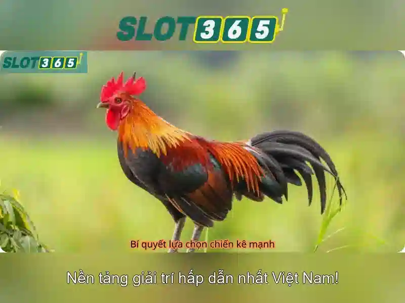 Slot365: Nền tảng slot trực tuyến đáng tin cậy