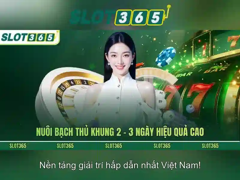 Slot365 – Khám phá thế giới máy đánh bạc trực tuyến