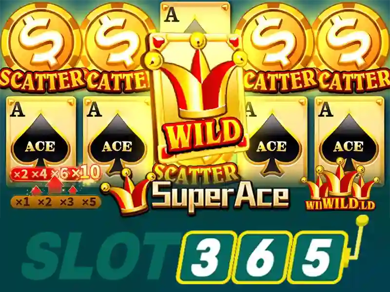 hỗ trợ Slot365 – Đồng hành tin cậy cho trải nghiệm giải trí